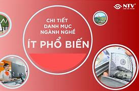 Các Nghề Phổ Biến Ở Việt Nam