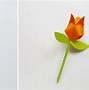 Giấy Gấp Hoa Tulip